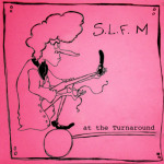SLFM at the Turnaround